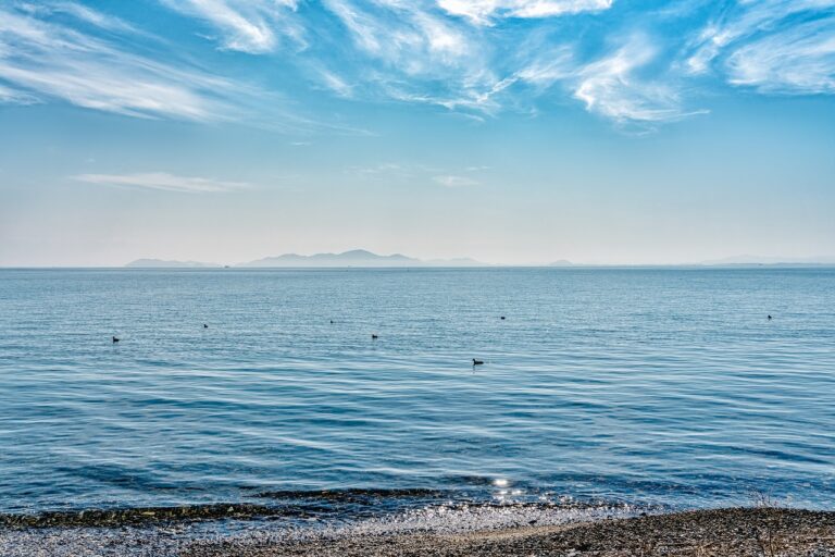 The impact of weather phenomena on travel: chasing storms and auroras