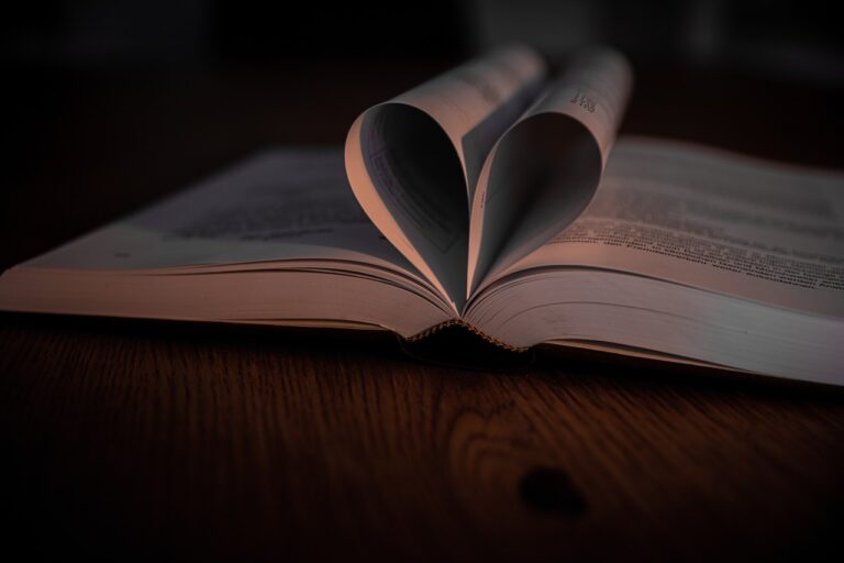 Promoting Multilingualism in Educational Settings