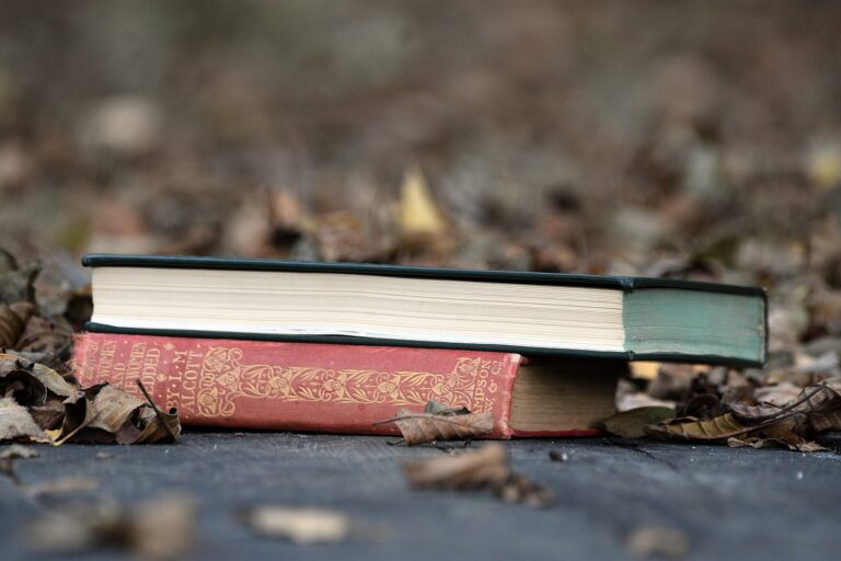 The Role of School Counselors in Student Success