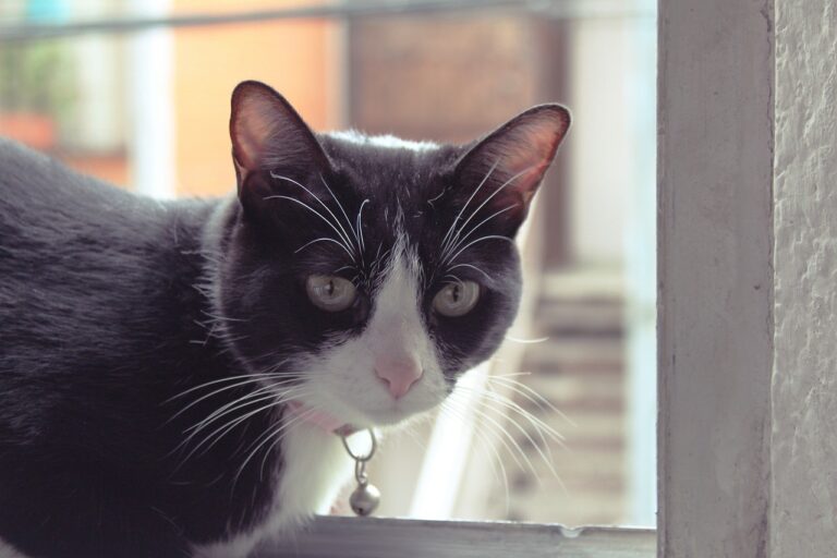 Innovative Tile Trends for Stylish and Practical Flooring