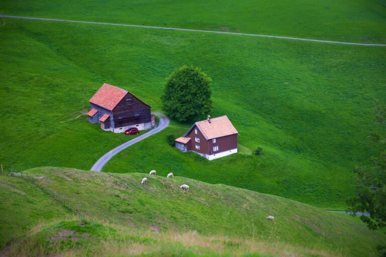 The Pros and Cons of Hardwood Flooring in Home Improvement