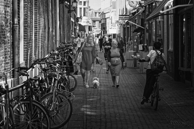 The Role of Blockchain in Ensuring Supply Chain Transparency