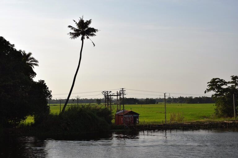 Exploring the Influence of Social Networks on Canvassing Behavior: Sky247 com login password, Gold365 game login, Gold 365 green