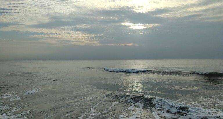 Understanding the Role of Social Influence in Canvassing Persuasion: Allpanel 777, Laserbook247.online, 99exch.in