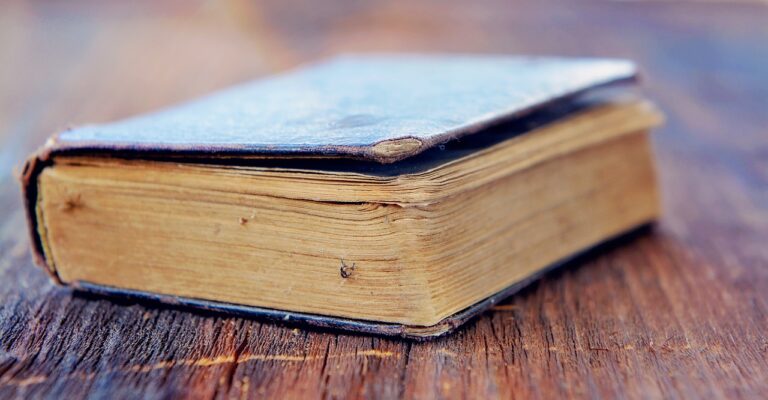 Promoting Global Education Initiatives in Public Schools: 11xplay online id, India 24 bet login, Sky fair vip