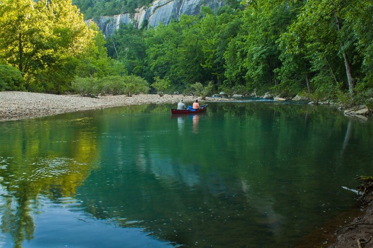 Nutrition Considerations for Cricket Players with Neurological Disorders: Betbhai9 sign up, Radhe exchange, My laser247