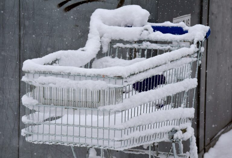 How to Use Video Marketing for Gaming Merchandise: All panel.com, Cricket 99 betting app, Lotus365 login