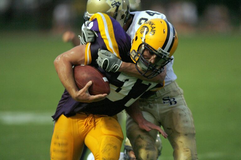 Sustainability Initiatives in IPL Ticketing Operations: 11xplay reddy, Laser 247 betting, Skylivecasino