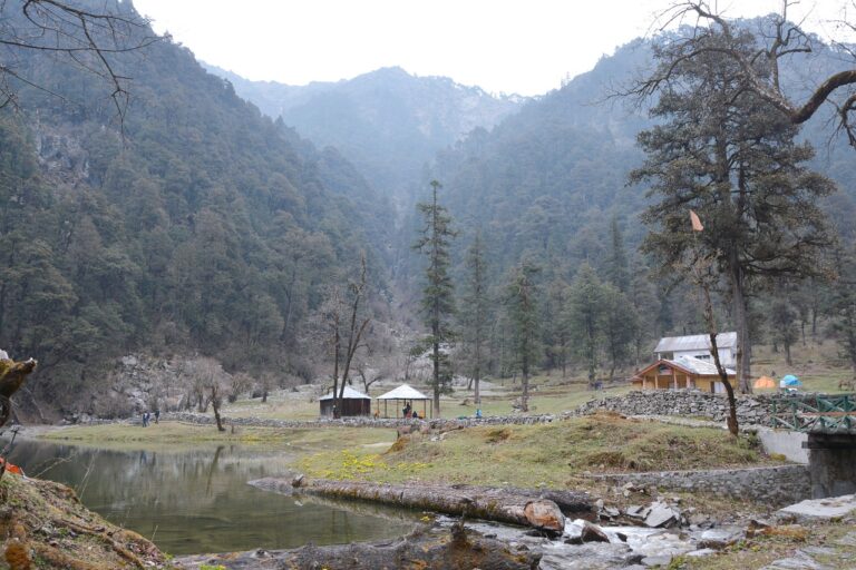 Best Practices for Canvassing in High-Density Residential Areas: Sky247 login, Gold365 betting, Gold365