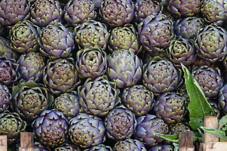 How to Find the Best Gaming Deals for Students: Betbook250.com, 11xplay, Yolo 247