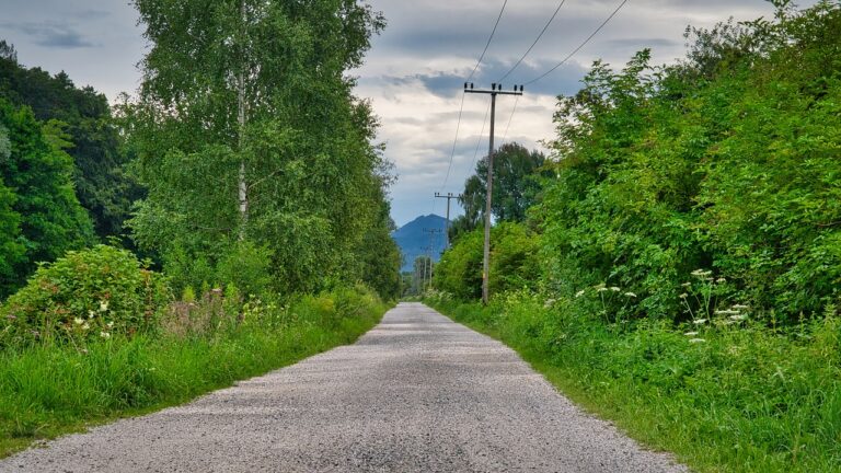 Analyzing the Market for Aftermarket Transmission Upgrades and Gearbox Swaps: Allpanel com, Best online cricket id, Gold 365 cricket