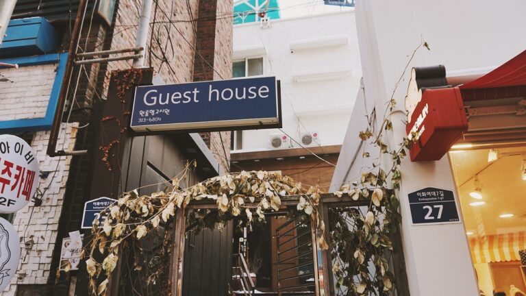 How to Choose the Right Gaming Smartphone Online: Bet book 250.com, 11xplay online, Yolo 247 login