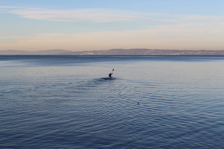 Cricket Nutrition and the Importance of Emotional Well-being: Betbhai9 com sign up, Radhe exchange admin login, Mylaser247