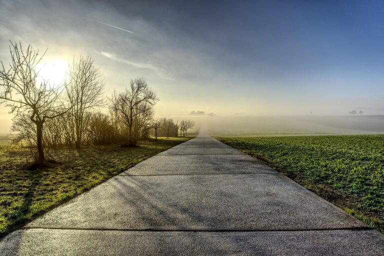 Understanding the Benefits of Aftermarket Throttle Response Controllers and Pedal Tuners: Allpaanel exchange, Lotus365, Laserbook247 id