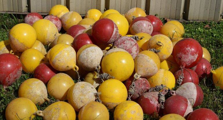 Accessibility Features in IPL Ticketing Platforms: 11xplay.online login, Laser book 247.com, Tigerexch247