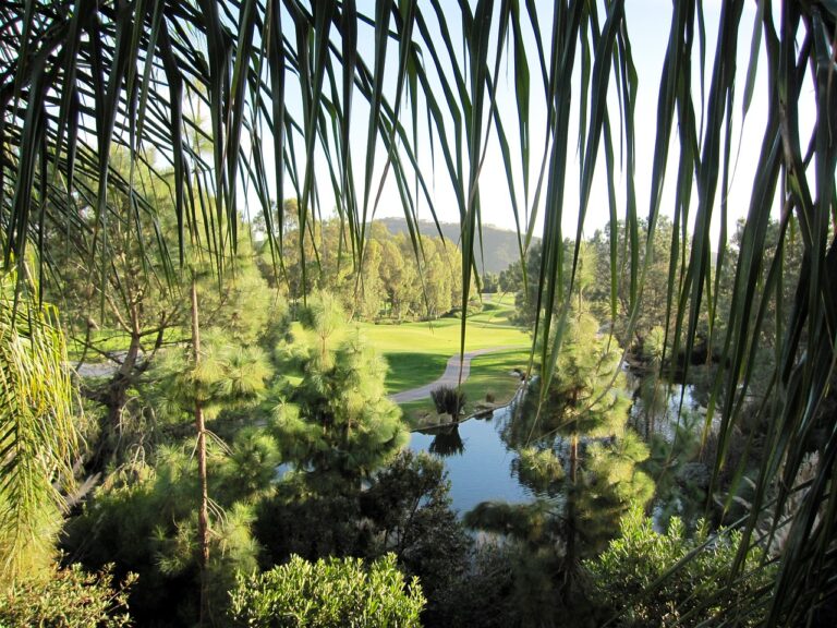 Smart Home Devices for Sustainable Energy Management: Sky.247, Diamondexch9 com, Tiger exchange vip