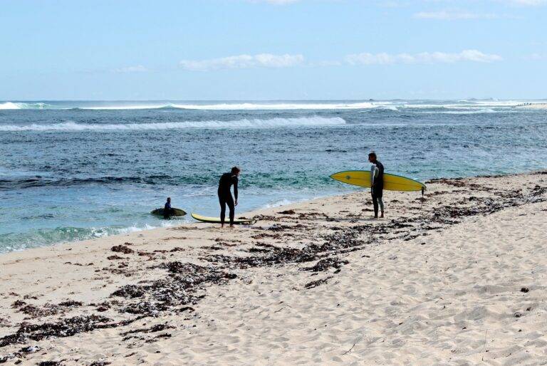 Designing a Smart Home: Aesthetics vs. Functionality: Sky247 sign up, Diamondexch9.com login, Tigerexch vip