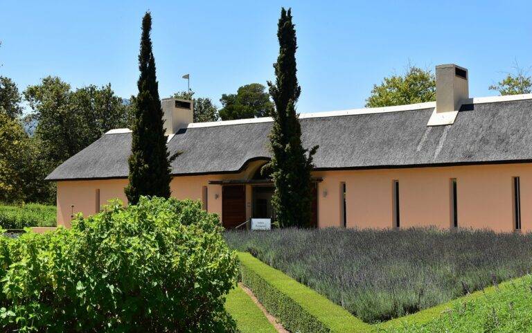 Smart Home Gadgets for Outdoor Living Spaces: World7.com, Mahadev app login, Silverexch login