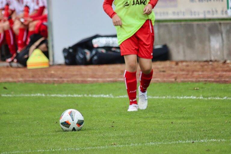 Implementing Contactless Ticketing Solutions for IPL Venues: 11xplay registration, Laser 247com, Tiger exchange 247 vip login