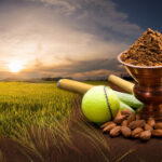 How To Find Apna Gold365 Login Id And Password?