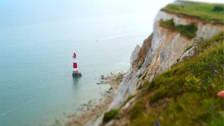 How Does 99Exch Cricket Betting Differ From Standard Apps?